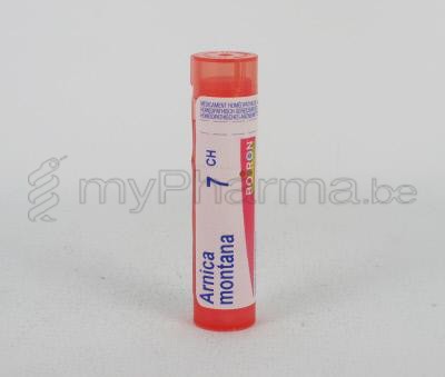 ARNICA MONTANA                    7CH GR 4G BOIRON (homeopatisch geneesmiddel)